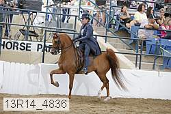 13r14_4836 proof