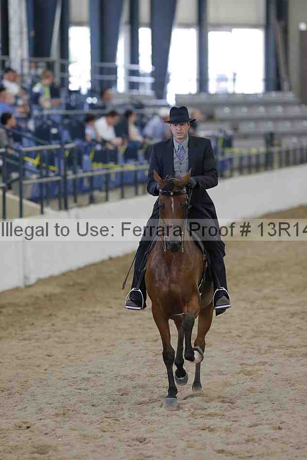 Proof 13r14_4838