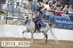 13r14_4839 proof