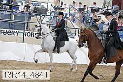 13r14_4841 proof