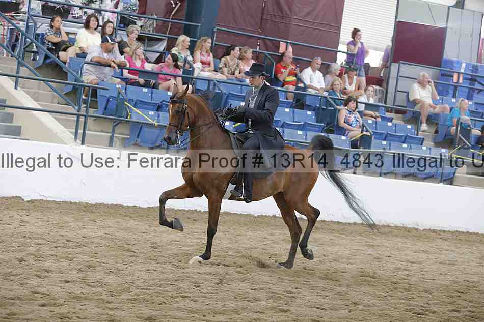 Proof 13r14_4843