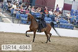 13r14_4843 proof