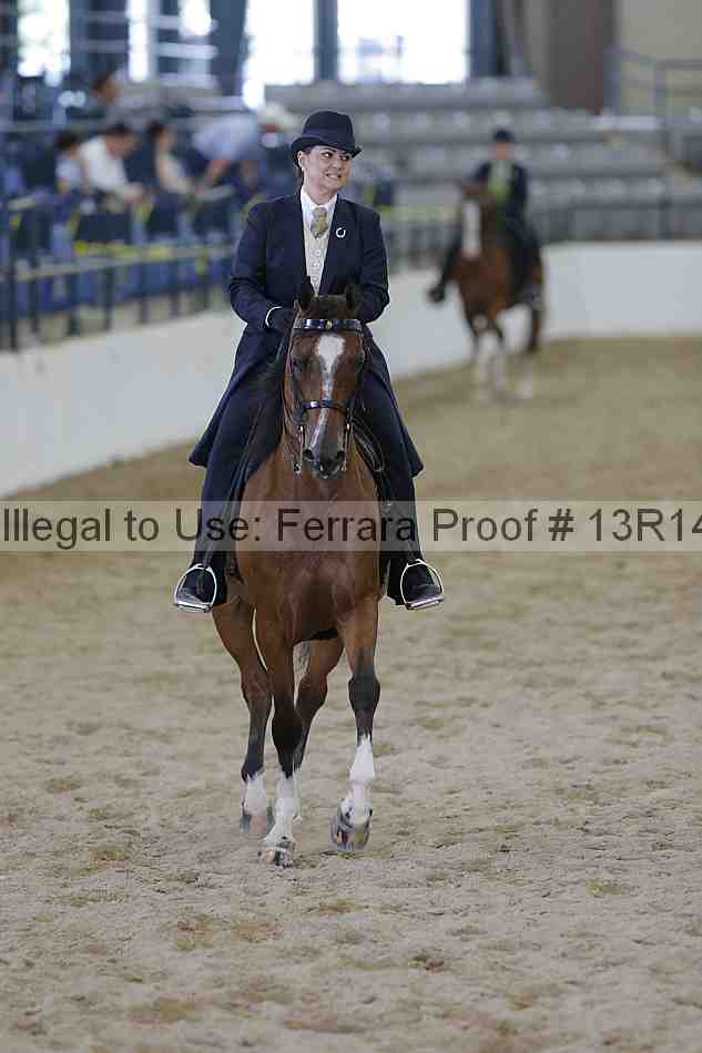 Proof 13r14_4846