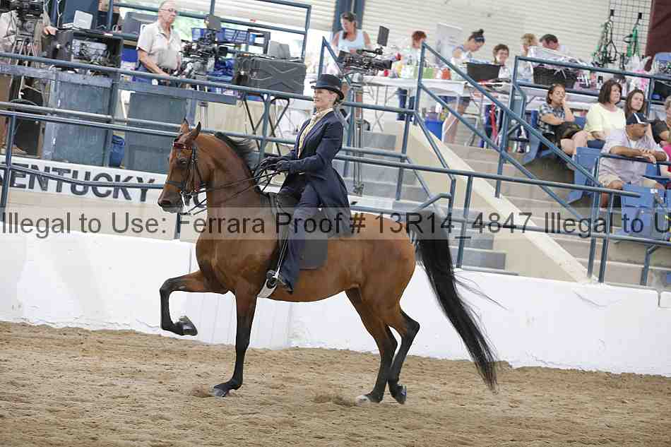 Proof 13r14_4847
