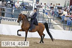 13r14_4847 proof