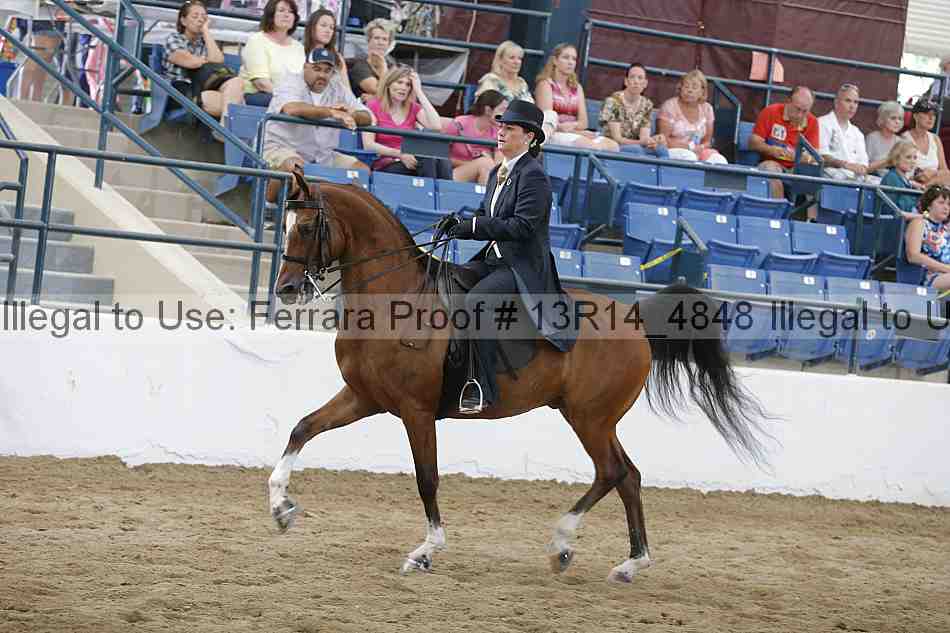 Proof 13r14_4848