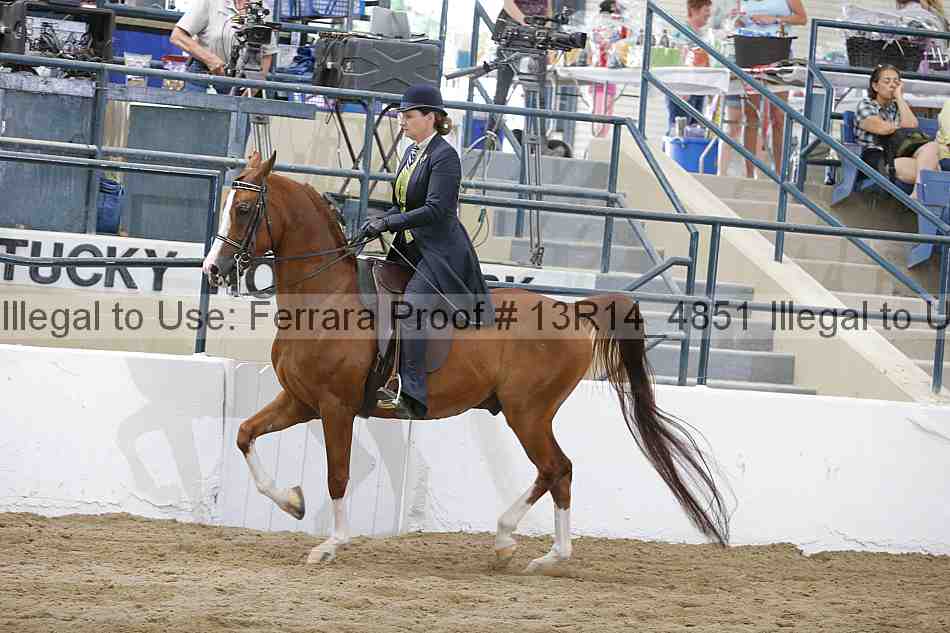 Proof 13r14_4851