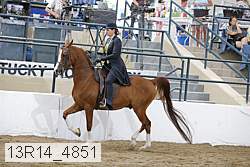 13r14_4851 proof