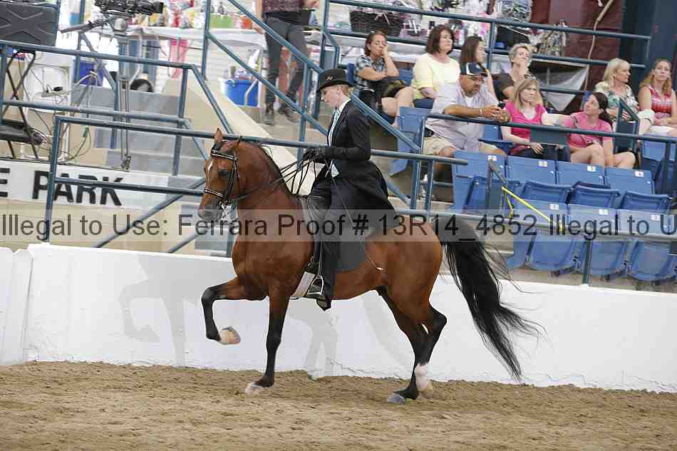 Proof 13r14_4852