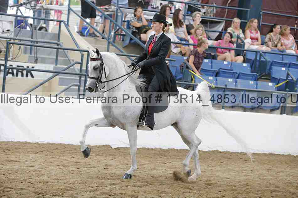 Proof 13r14_4853