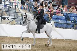 13r14_4853 proof