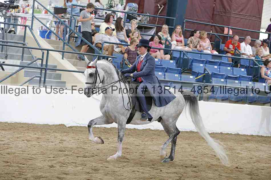 Proof 13r14_4854