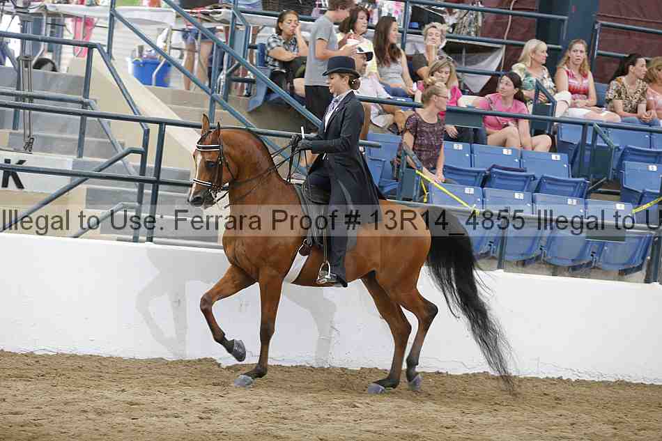 Proof 13r14_4855