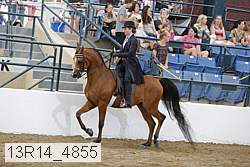 13r14_4855 proof