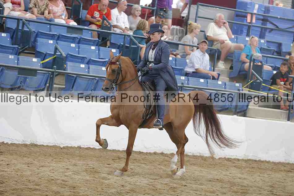 Proof 13r14_4856