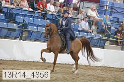 13r14_4856 proof