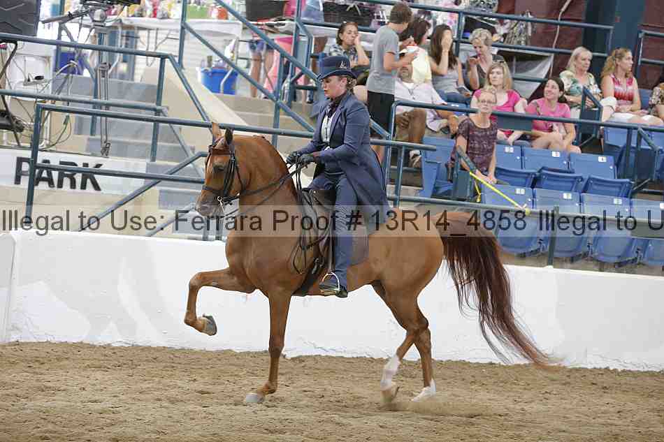 Proof 13r14_4858
