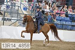 13r14_4858 proof