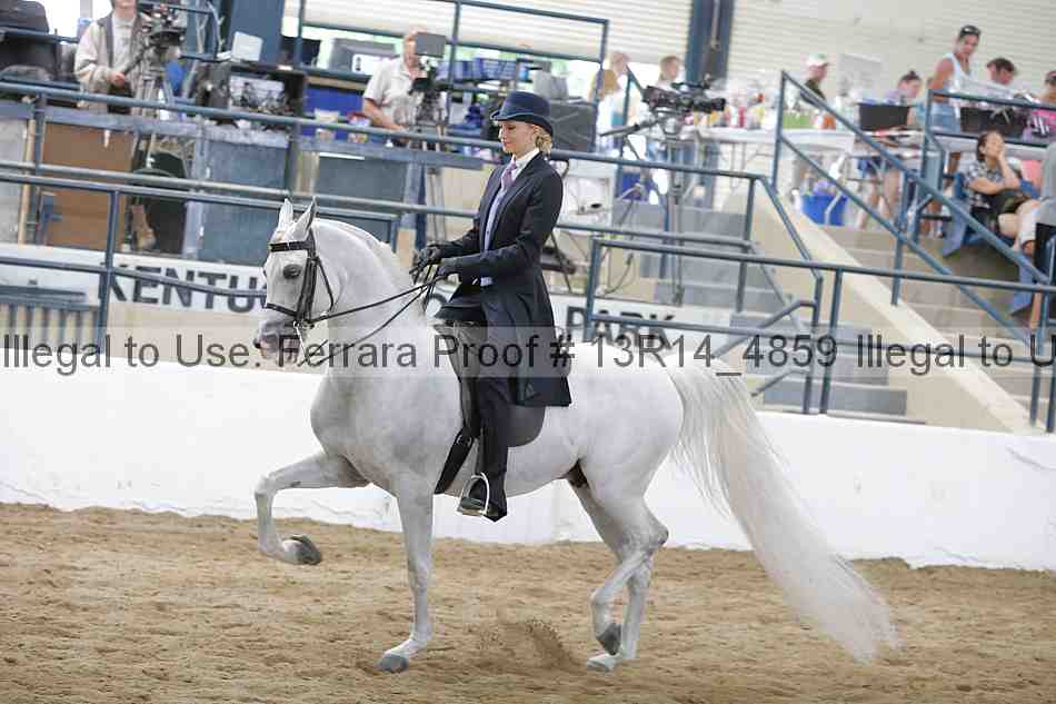Proof 13r14_4859