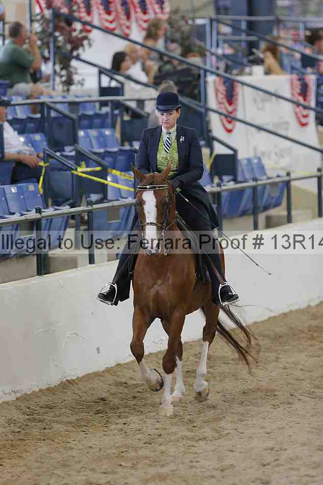 Proof 13r14_4861
