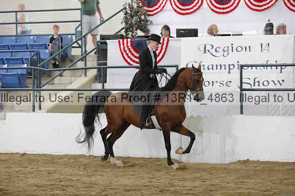 Proof 13r14_4863