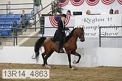 13r14_4863 proof