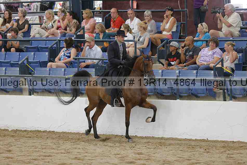 Proof 13r14_4864