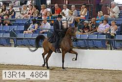 13r14_4864 proof