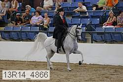 13r14_4866 proof