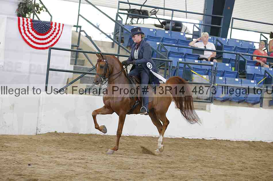 Proof 13r14_4873