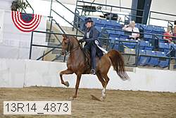 13r14_4873 proof