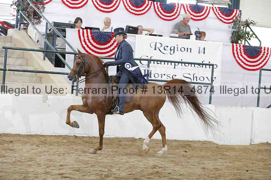 Proof 13r14_4874