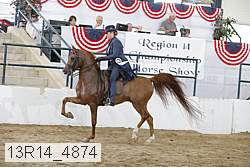 13r14_4874 proof
