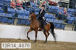 13r14_4876 proof