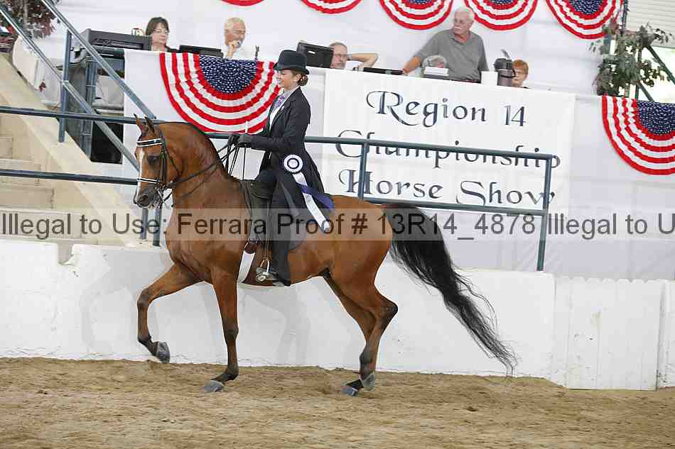 Proof 13r14_4878