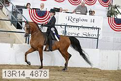 13r14_4878 proof