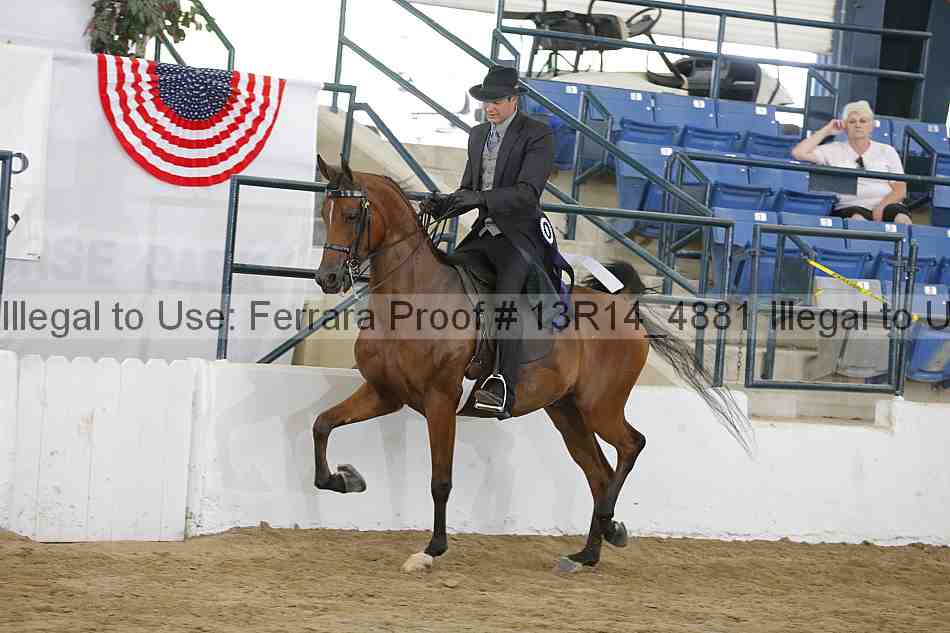 Proof 13r14_4881