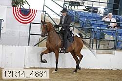 13r14_4881 proof