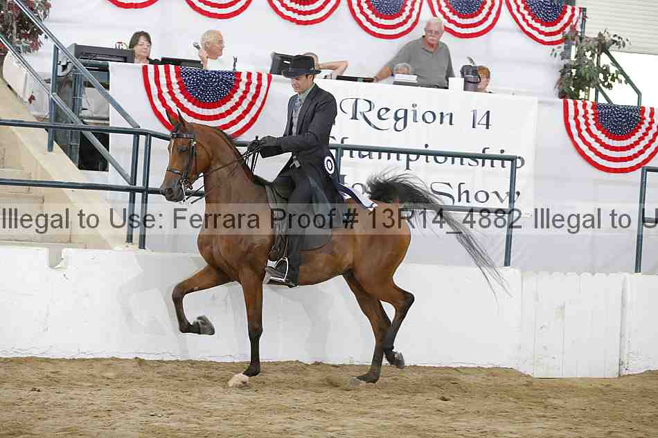 Proof 13r14_4882