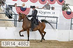 13r14_4882 proof