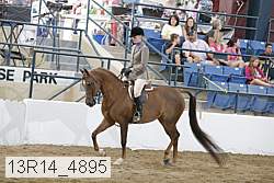 13r14_4895 proof