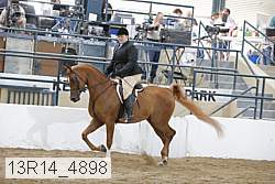 13r14_4898 proof