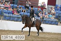 13r14_4899 proof