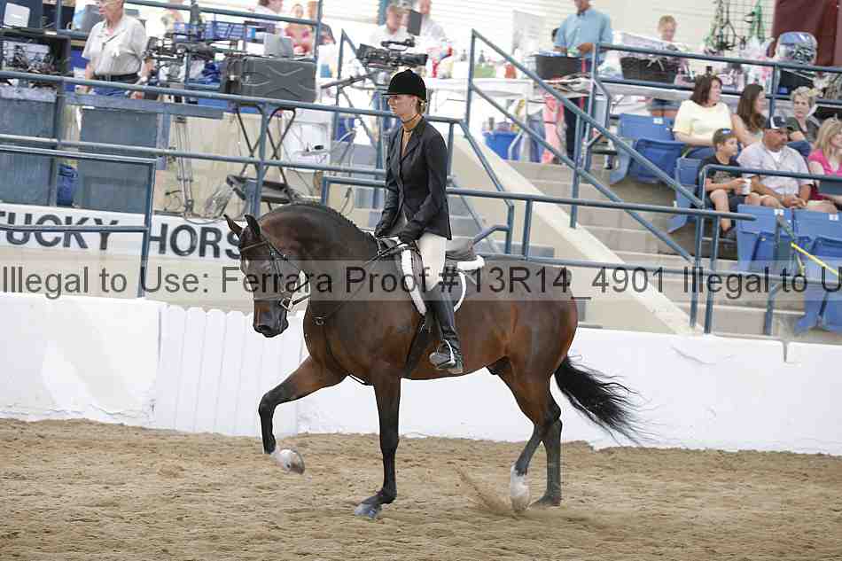 Proof 13r14_4901