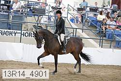 13r14_4901 proof