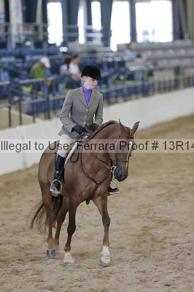 Proof 13r14_4903