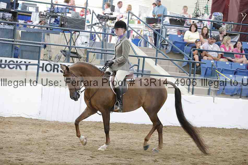 Proof 13r14_4906