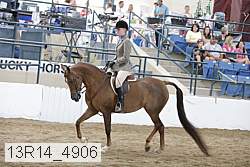 13r14_4906 proof
