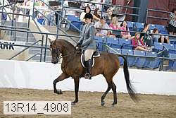 13r14_4908 proof
