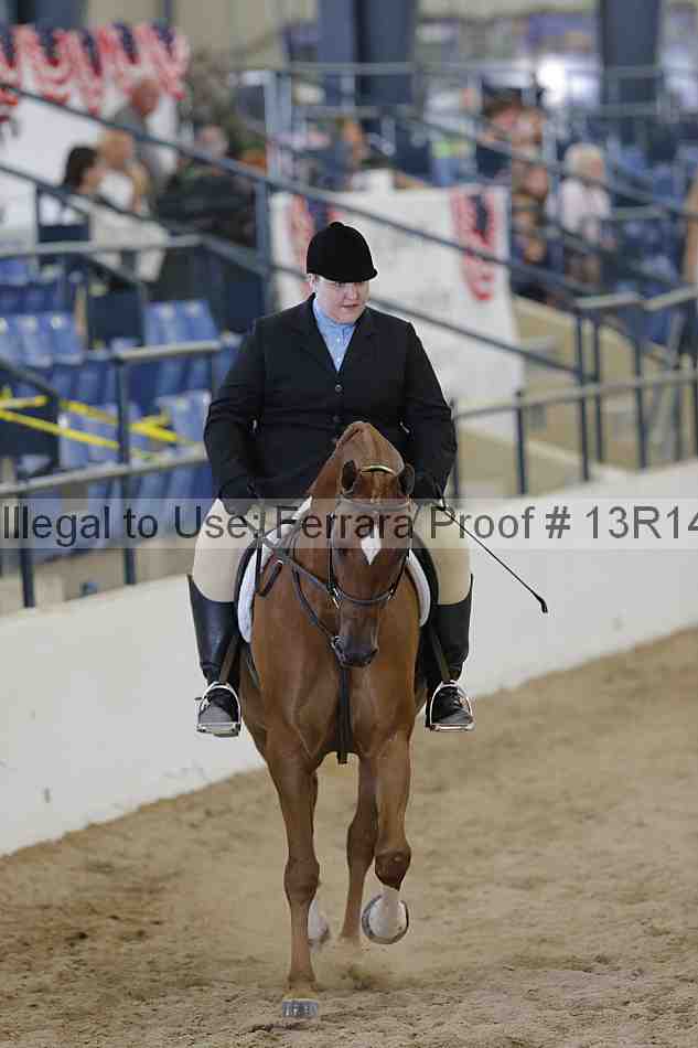 Proof 13r14_4909